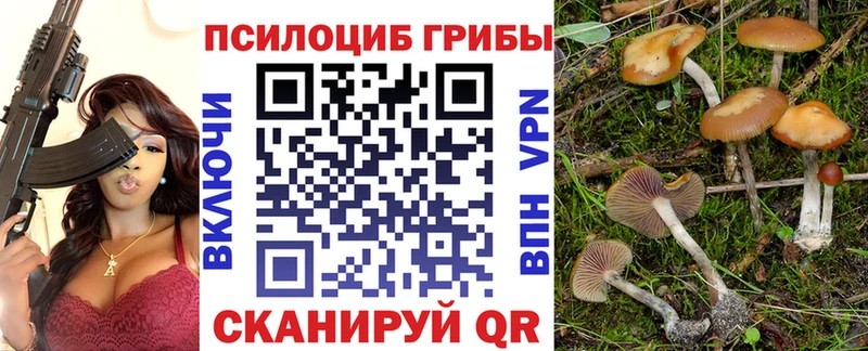 Псилоцибиновые грибы мухоморы закладки Белорецк