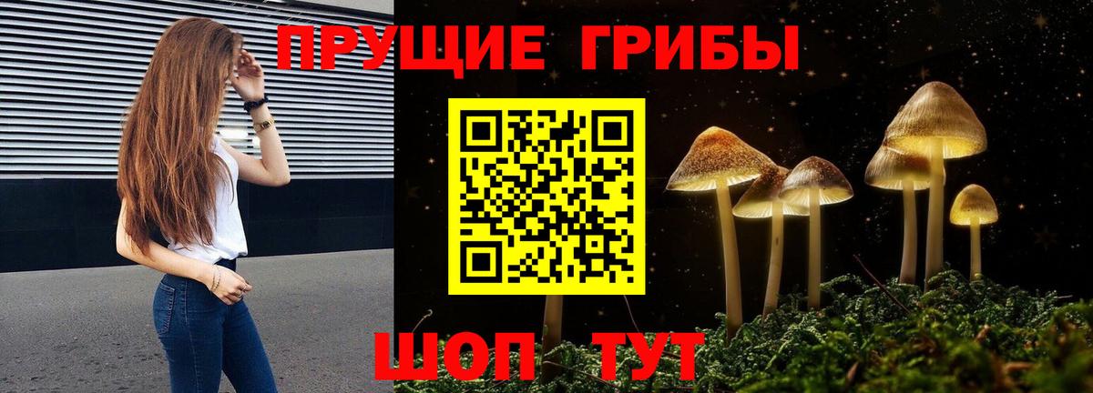 Галлюциногенные грибы Cubensis Белорецк