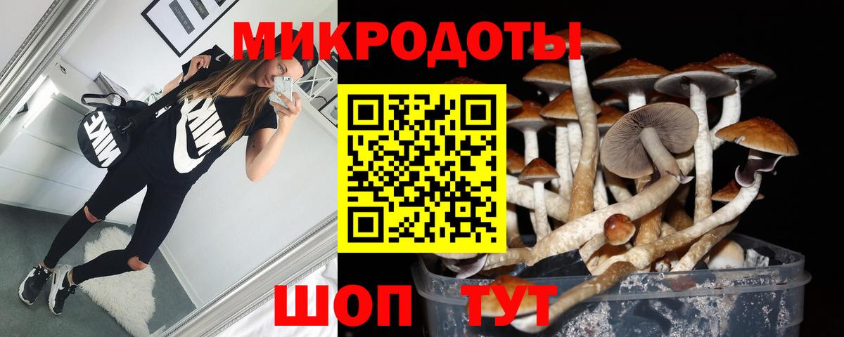 Псилоцибиновые грибы Magic Shrooms  Белорецк  Псилоцибиновые грибы Magic Shrooms 